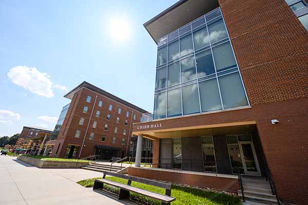 A perspective of someone looking at Cribb Hall