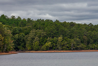 Forest and lake landscape.