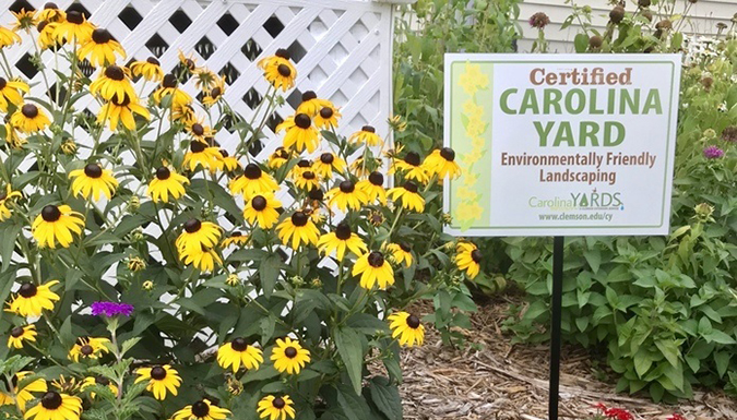 Carolina Yards approved sign in garden.