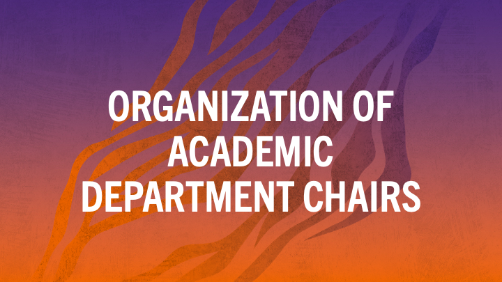 Organization of Academic Department Chairs written in white block font featuring a gradient background with abstract tiger stripe patterns.