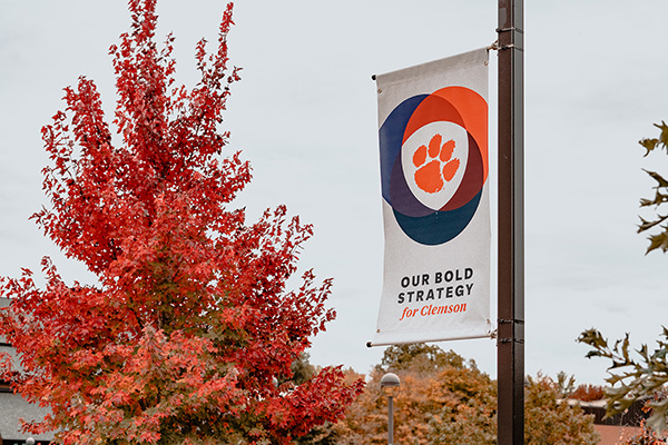 Clemson Elevate flag
