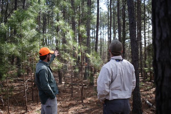 Students in the Clemson Experimental Forest