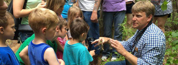 Teaching kids about frogs