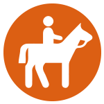 Horseback Riding on the Clemson Experimental Forest