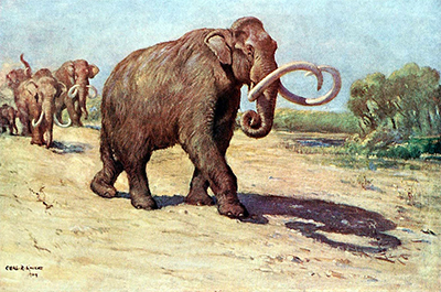 mammoth