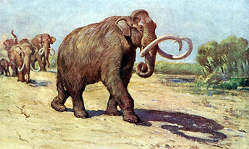 mammoth