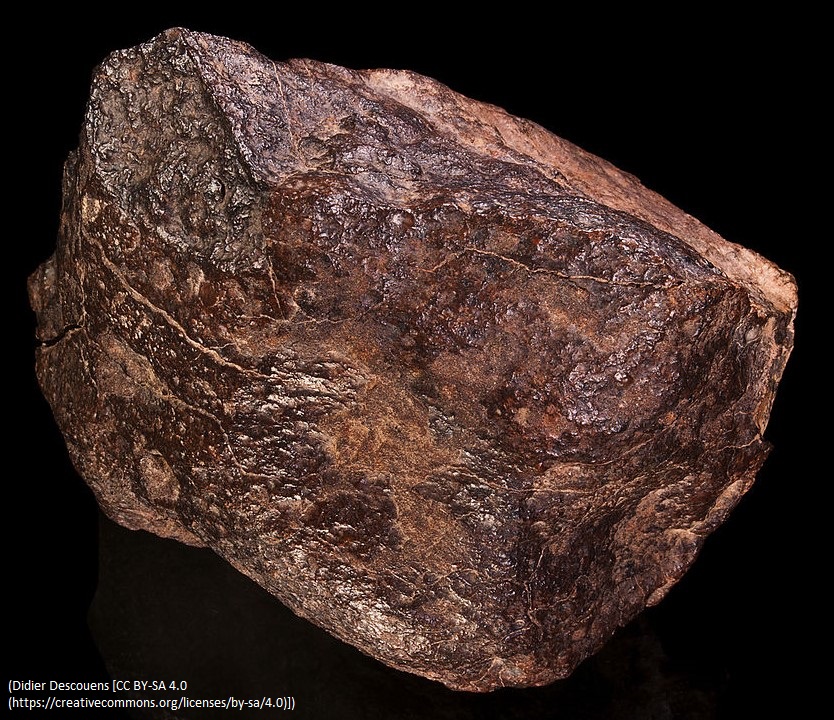A picture of a stony meteorite.