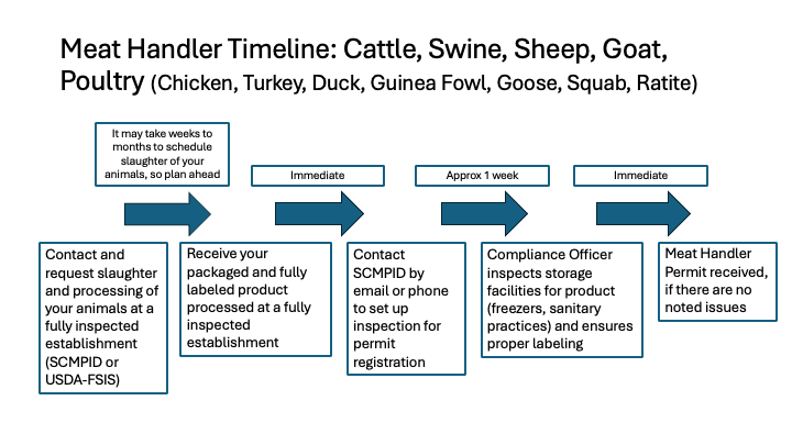 in depth inspected timeline