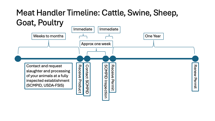 in depth inspected timeline