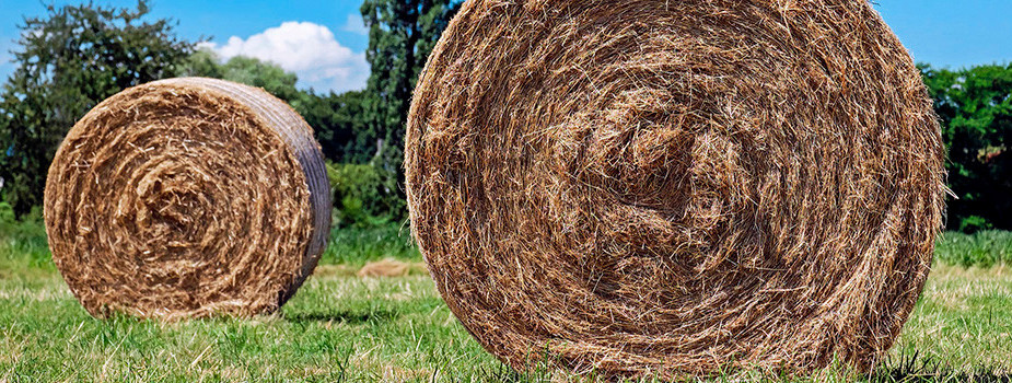a bunch of hay bales in a field