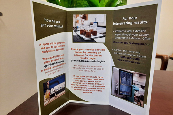 sample brochure