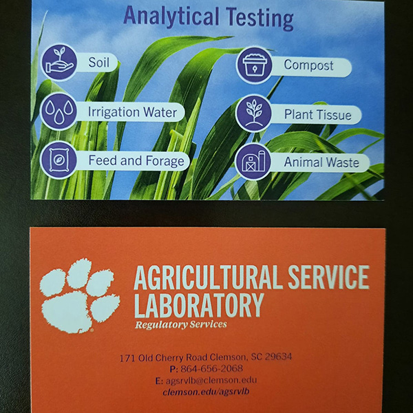 sample business card