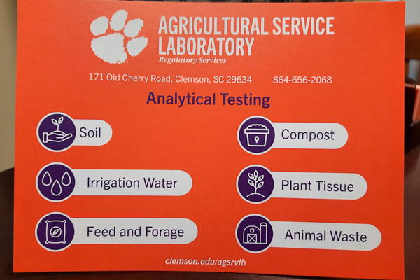 sample stock-card