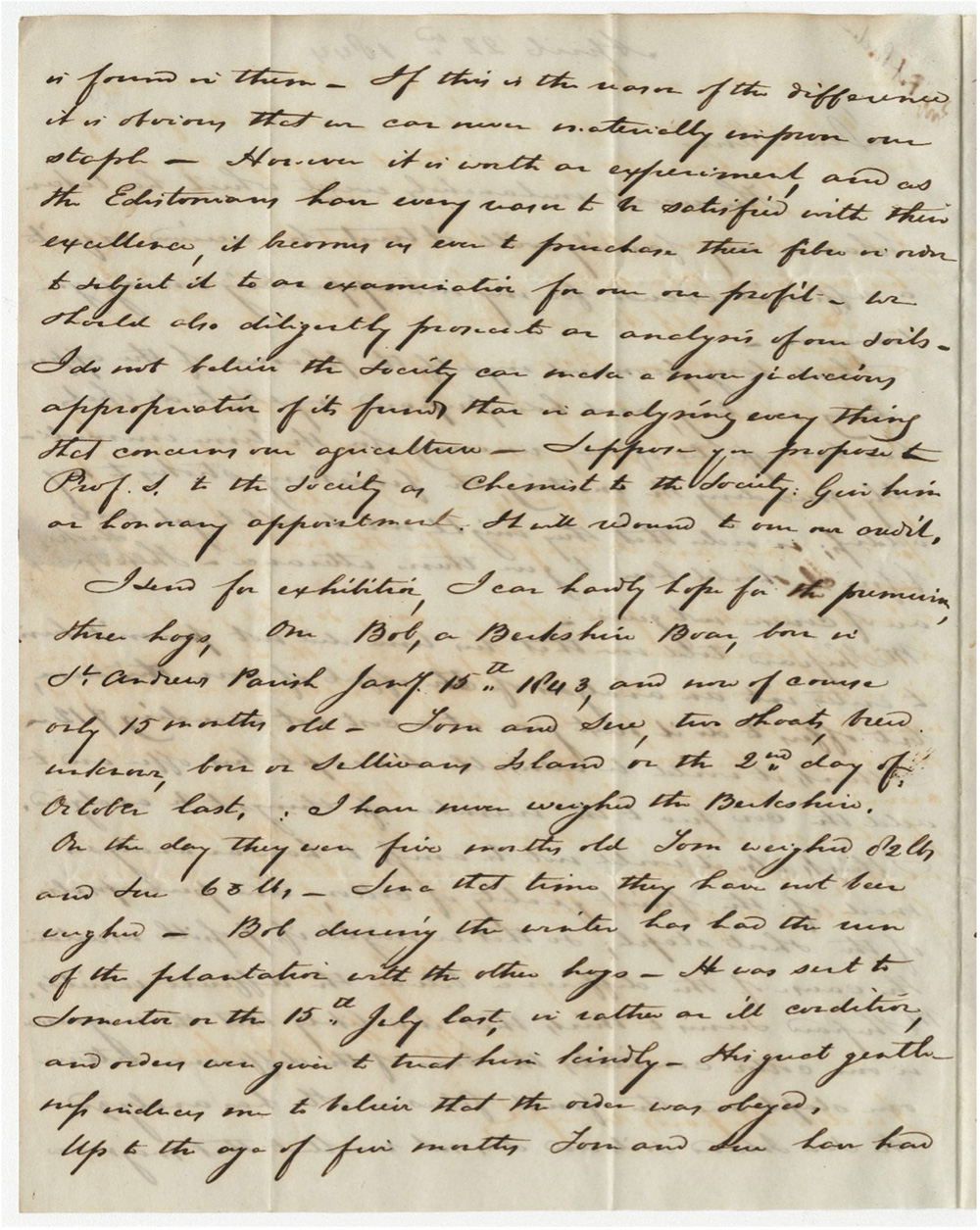 Page 2 of letter from Porcher to Ravenel
