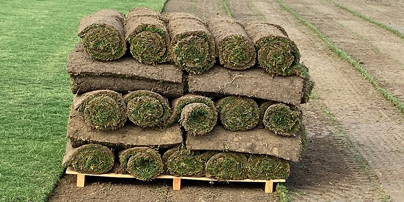 turf grass rolled up on a field
