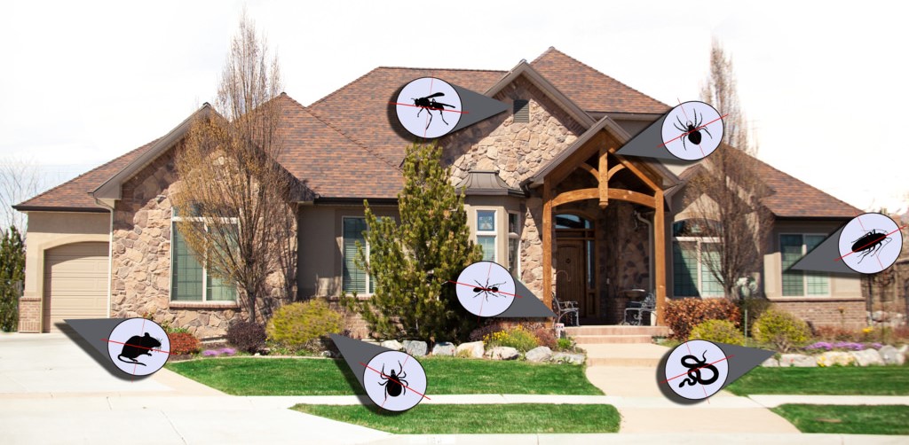 Suburban House with graphics of common household pests