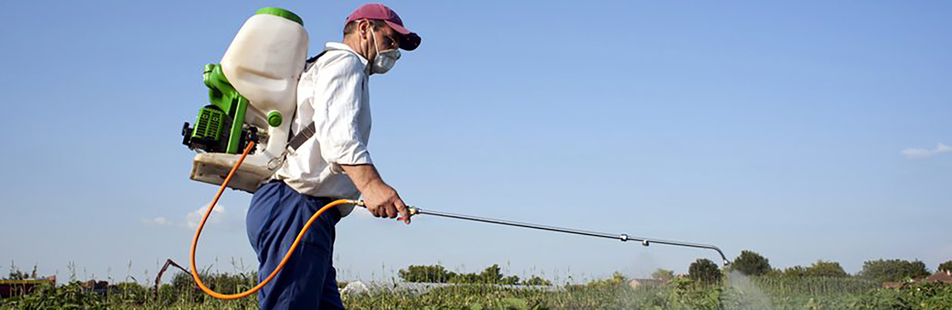 farmer spraying pesticide on crops