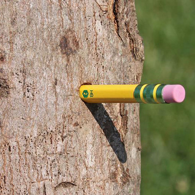 large round exit holes are large enough to fit a pencil