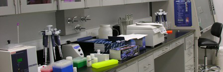 interior of the molecular pathogen lab