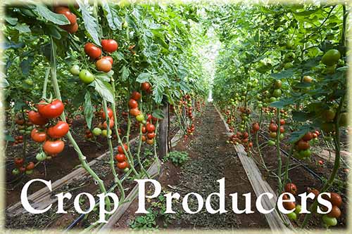 Find certification documents and resources for crop production