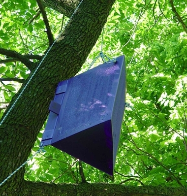 Emerald Ash Borer Trap