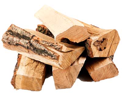 Don't move firewood.  Invasive forest pests may be lurking in the bark!