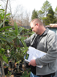 Nursery Inspector conducting survey.