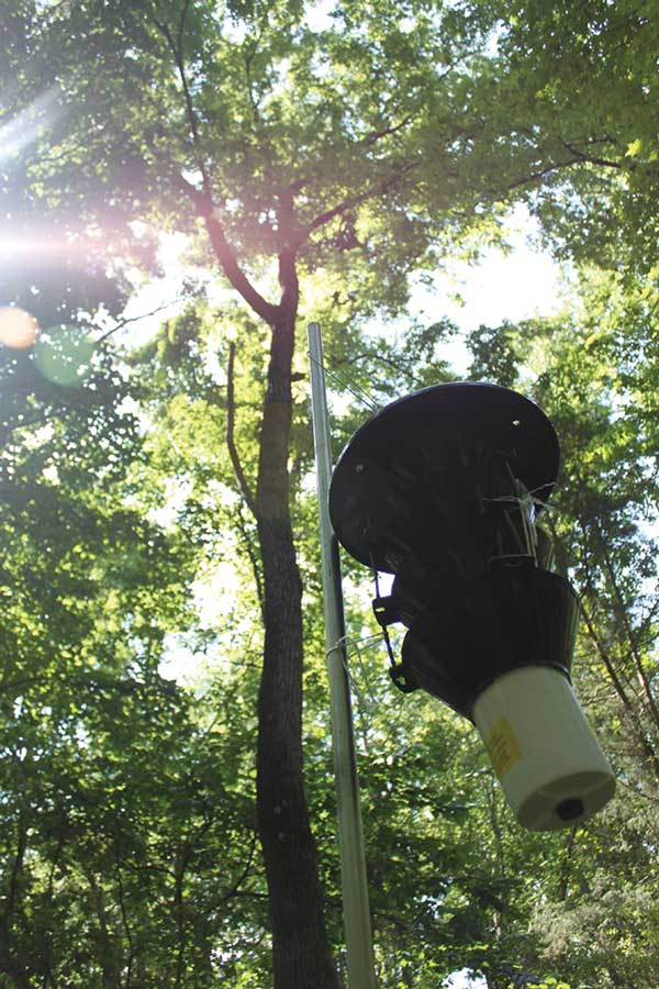 DPI surveys for walnut twig beetle with funnel traps in SC forests.