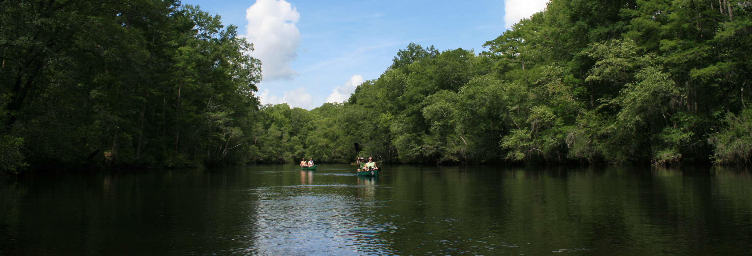 Edisto River Basin | Public | Clemson University, South Carolina