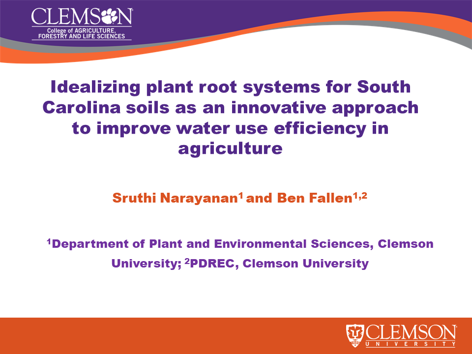 Narayanan - Idealizing plant root systems for South Carolina soils as an innovative approach to improve water use efficiency in agriculture 