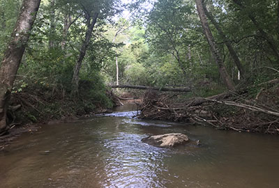 sc river in wooded area
