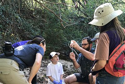 Volunteers work with CWE staff to measure Dissolved Oxygen