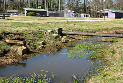 Tributary to Cane Creek with pipes discharging to creek