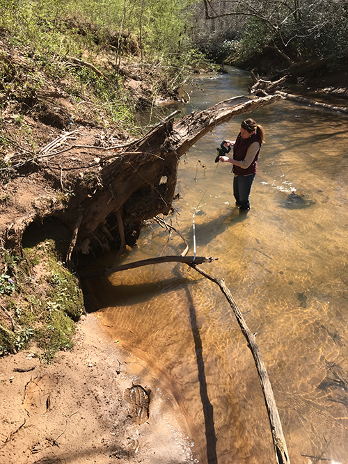 CWE staff measuring bank loss in stream