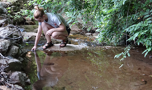 A volunteer kneels next to a stream while collecting a water sample.