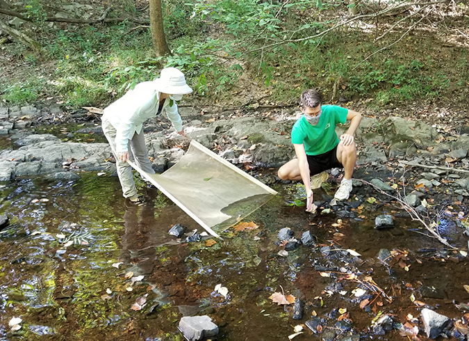 A volunteer holding a kick net in a rocky stream while another volunteer kneels in front of it.