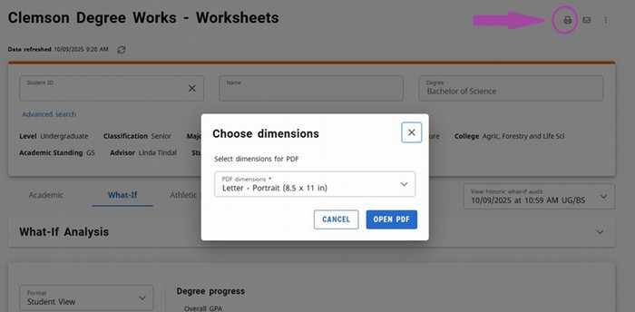 Pop up box for saving what-if audit as a pdf document
