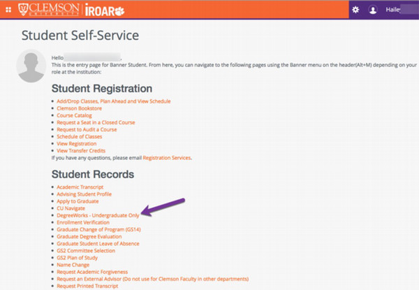Select DegreeWorks- Undergraduate Only from Student Records