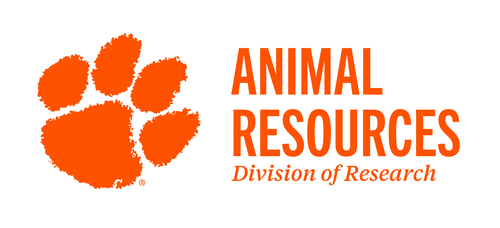 Division of Research logo