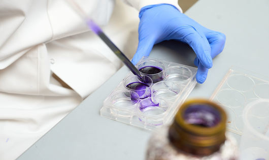 research genetics and biochemistry