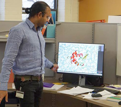 Dr. Chandan Choudhury displaying simulations of Lysozyme. The simulations are performed on the Palmetto cluster