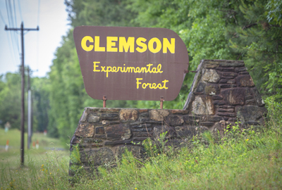 Clemson Experimental Forest sign