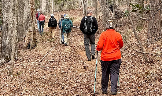 group of hikers