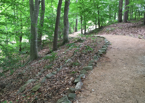 gravel walkway under large oak tree shade,  lined with small stone
