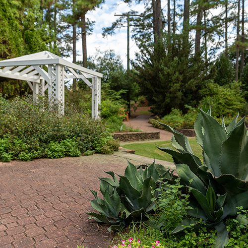 xeriscape garden