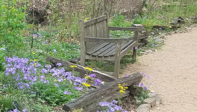 wooden bench on the edge of a walking path
