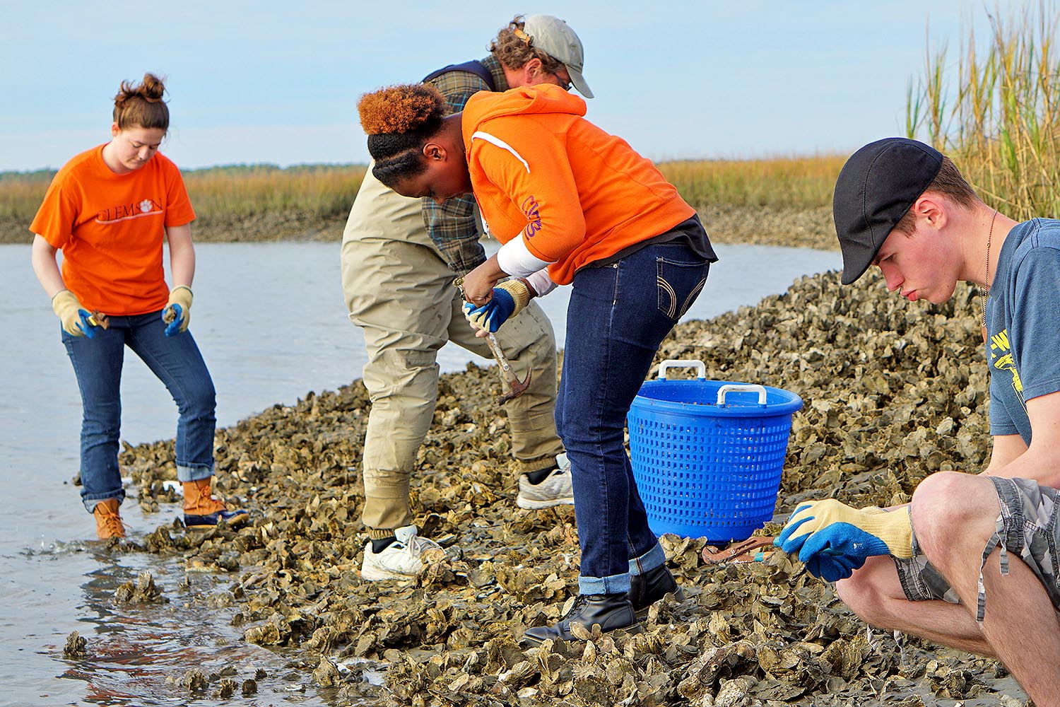 Students examining specimens by a lake. 