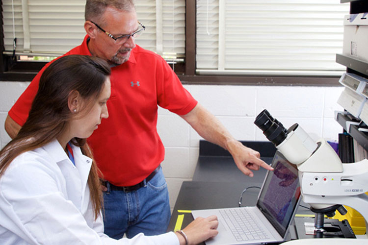 Man and woman looking at computer screen and microscope.