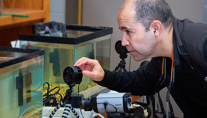 Male professor, Antonio Baeza, using camera to monitor tiny shrimp in aquarium.