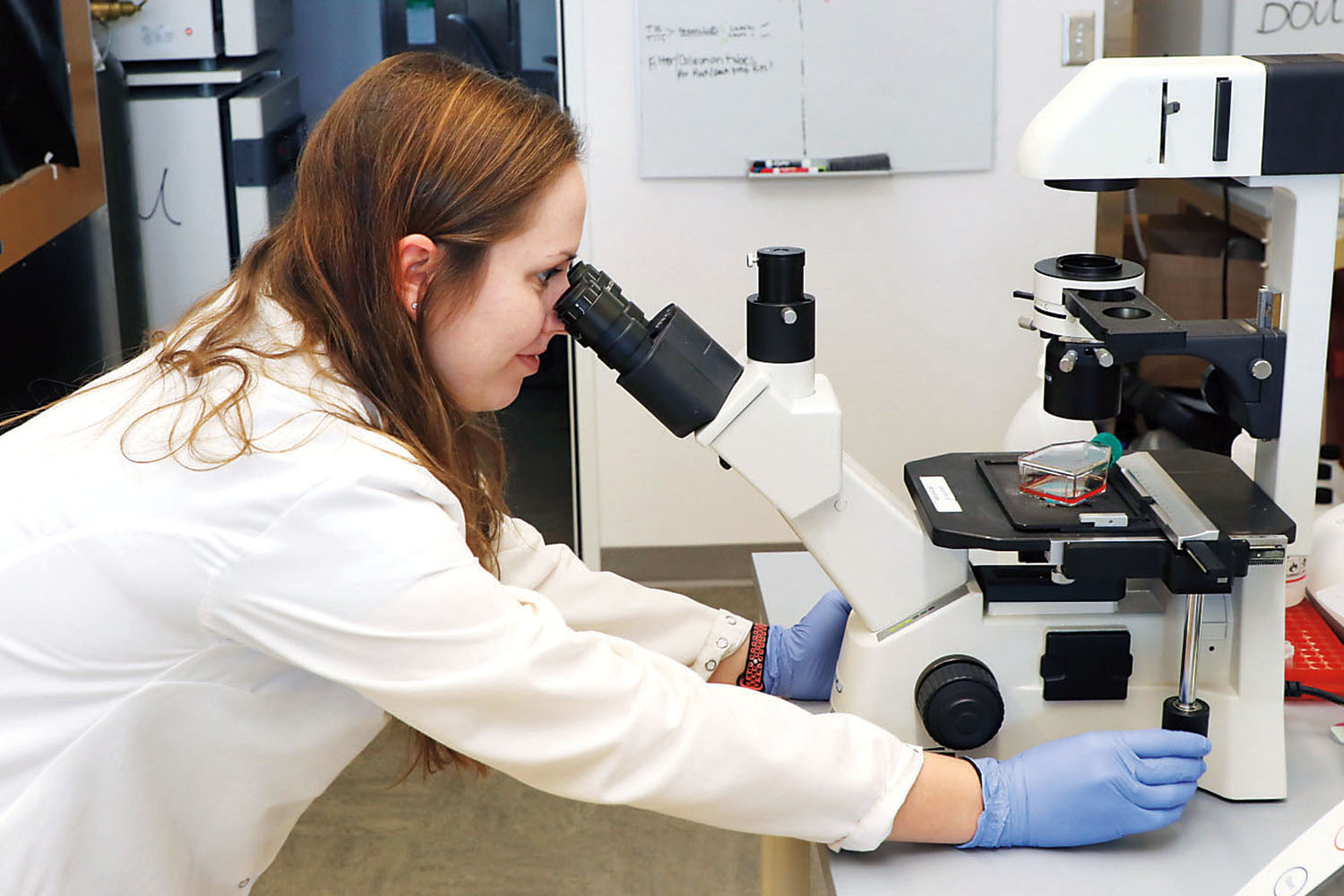 Female student examining specimen under microscope.